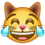 Tears of joy cat emoji U+1F639