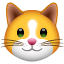 Cat face U+1F431