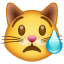 Crying cat smiley Whatsapp U+1F63F