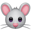 Mouse face