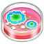 Petri dish emoji U+1F9EB