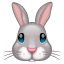 Bunny emoji Whatsapp