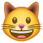 Laughing cat smiley Whatsapp U+1F63A