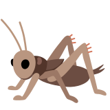 Cricket - Noto Color Emoji