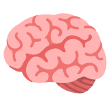 Brain - Noto Color Emoji