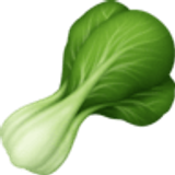 Leafy green - Facebook