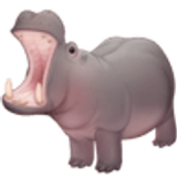 Hippopotamus - Facebook