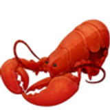 Lobster - Facebook