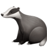 Badger - Facebook