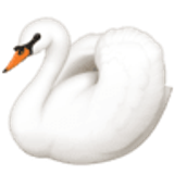 Swan - Facebook