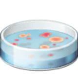 Petri dish - Facebook