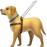 Guide dog