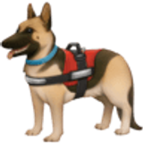 Service dog - Facebook