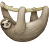 Sloth - Facebook