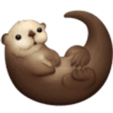 Otter - Facebook
