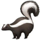 Skunk - Facebook