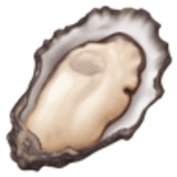 Oyster - Facebook