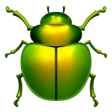 Beetle Whatsapp
