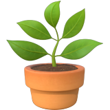 Potted plant emoji