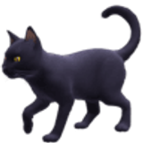 Black cat - Facebook