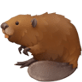 Beaver - Facebook