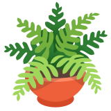 Potted plant - Noto Color Emoji