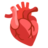 Anatomical heart - Noto Color Emoji