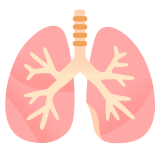 Lungs - Noto Color Emoji