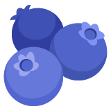 Blueberries - Noto Color Emoji