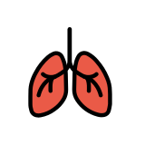 Lungs - OpenMoji