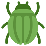 Beetle - Twitter / X