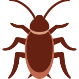 Cockroach - Twitter / X