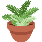 Potted plant - Twitter / X