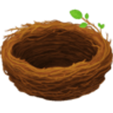 Empty nest - Facebook