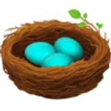 Nest with eggs - Facebook
