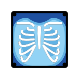 X-ray - OpenMoji