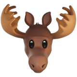 Moose