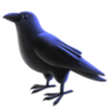 Black bird - Facebook
