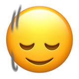 Gesture: slightly smiling face nodding up and down