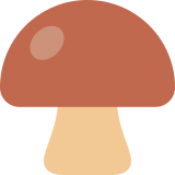 Brown mushroom - Twitter / X