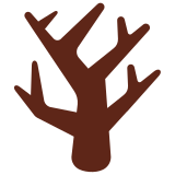 Leafless tree - Twitter / X