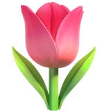 Tulip Emoji