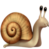 Snail whatsapp