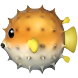 Puffer fish Whatsapp