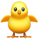 Front-facing baby chick