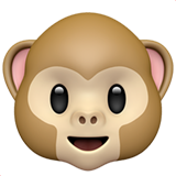 Monkey face