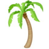 Palm tree - Facebook