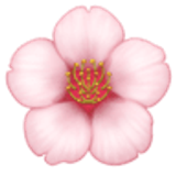 Cherry blossom - Facebook