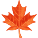 Maple leaf - Facebook