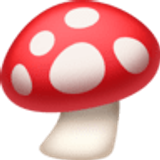 Mushroom - Facebook